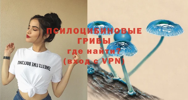 эйфоретик Иннополис