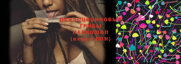 эйфоретик Иннополис