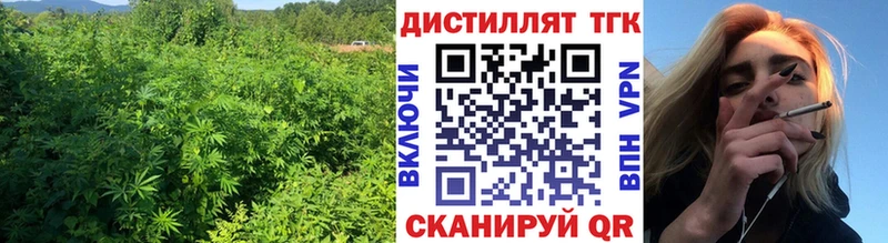 Купить где  Тула  ТГК концентрат 