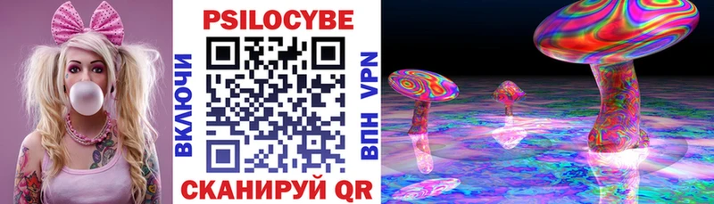 Галлюциногенные грибы Psilocybe  Купить  Тула 